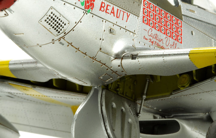 MENG MODEL(モンモデル)LS-006 1/48 ノースアメリカンP-51D(プラモデル)