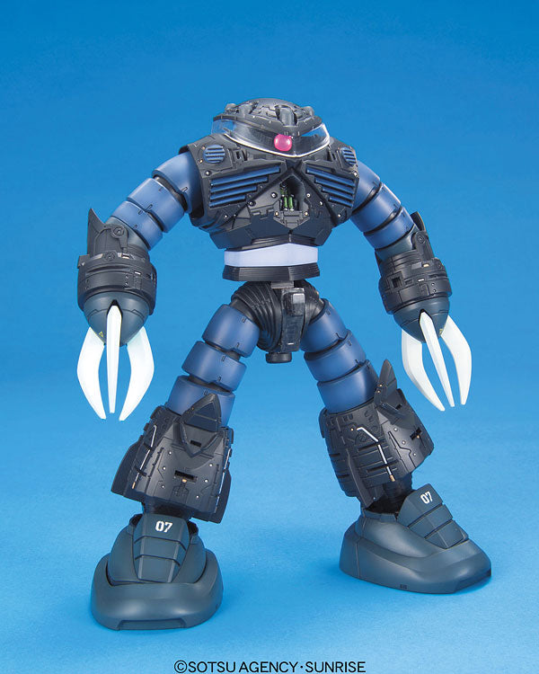 MG 量産型ズゴック 1/100スケール