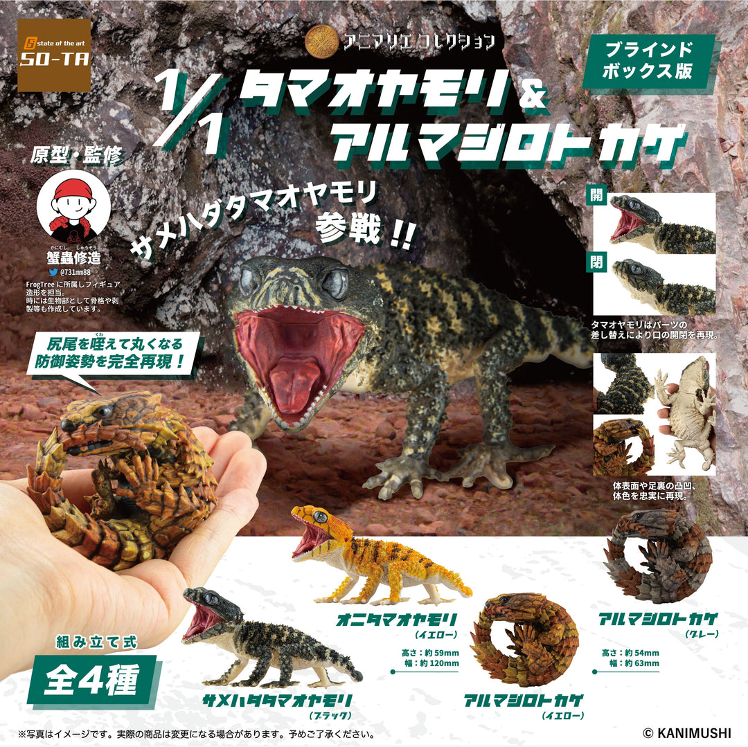 [BOX販売]アニマリエコレクション タマオヤモリ＆アルマジロトカゲ -4個入りBOX-